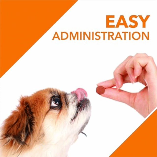 Drools Absolute Immunity Tablet - Dog Supplement, 110 Pcs - Image 2