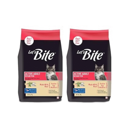 adult cat dry food