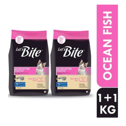 kitten dry cat food