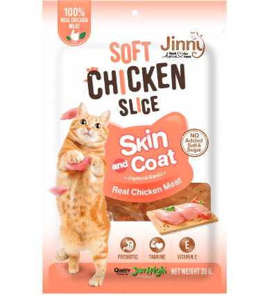 Jinny Soft Chicken Slice Skin & Coat Flavor, Cat Treats 30g (Pack of 6)
