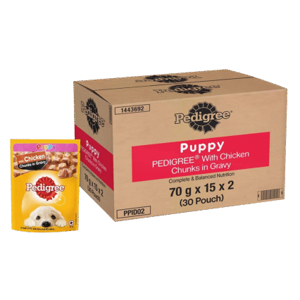 PEDIGREE Chicken Chunks Gravy Dog Food Pouch, 70g