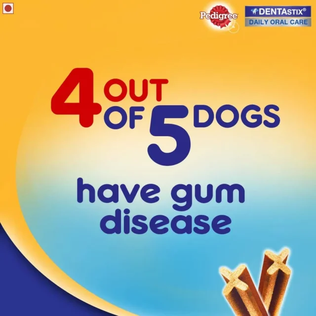 PEDIGREE DENTASTIX Dog Treat Oral Care for Adult Large Breed, 270g - Image 2