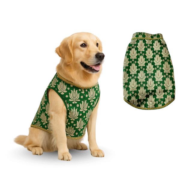 Furrfab Royal Green Color Sherwani for Dogs - Image 3