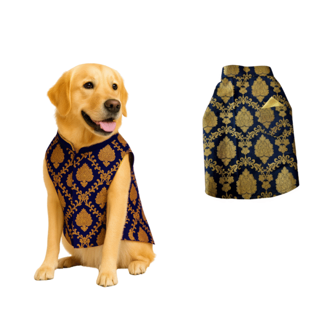 Furrfab Royal Blue Color Sherwani for Dogs - Image 2
