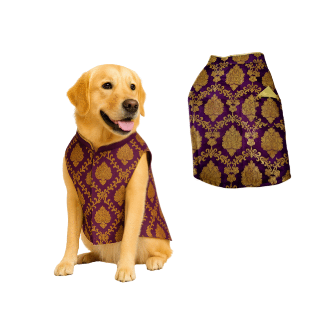 Furrfab Royal Purple Color Sherwani for Dogs - Image 2