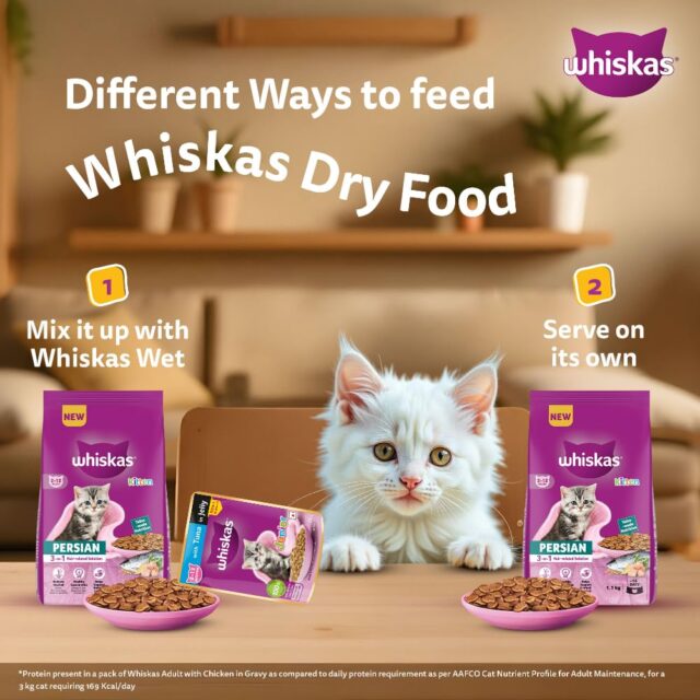 Whiskas Persian Kitten 3 in 1 Hair Solution (2-12 Months) Dry Cat Food - Image 7
