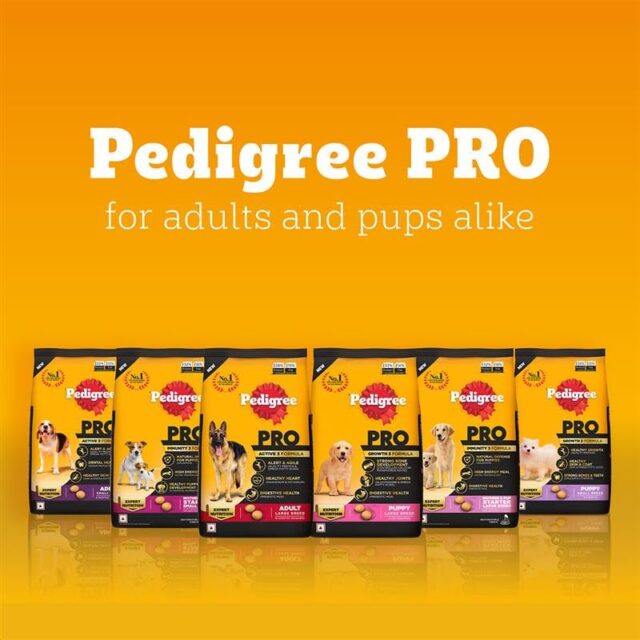 PEDIGREE Professional Adult Dog Food Small Breed Dry Dog Food - Image 6