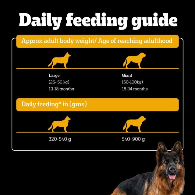 PEDIGREE Professional Adult Dog Dry Food Large Breed - Image 6