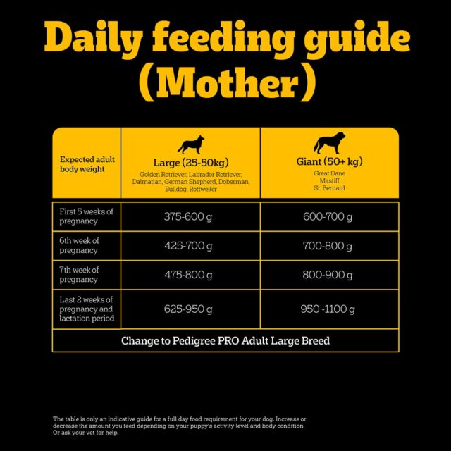 PEDIGREE Professional Starter Mother and Pup Large Breed, Dry Dog Food - Image 5
