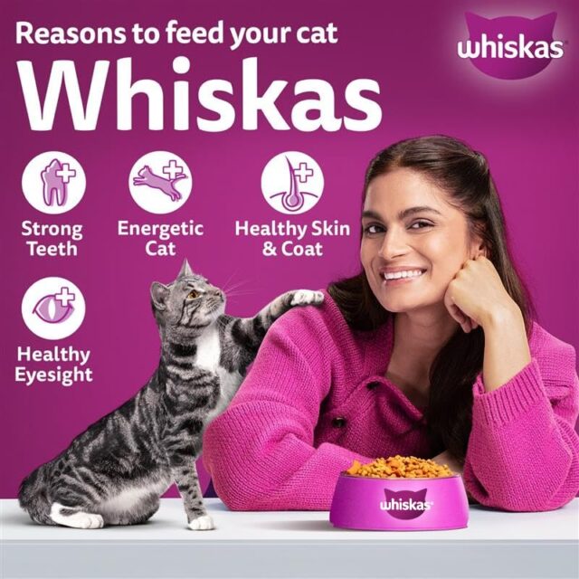 Whiskas Adult (1+ Years) Dry Cat Food, Tuna Flavour for Adult Cats - Image 5