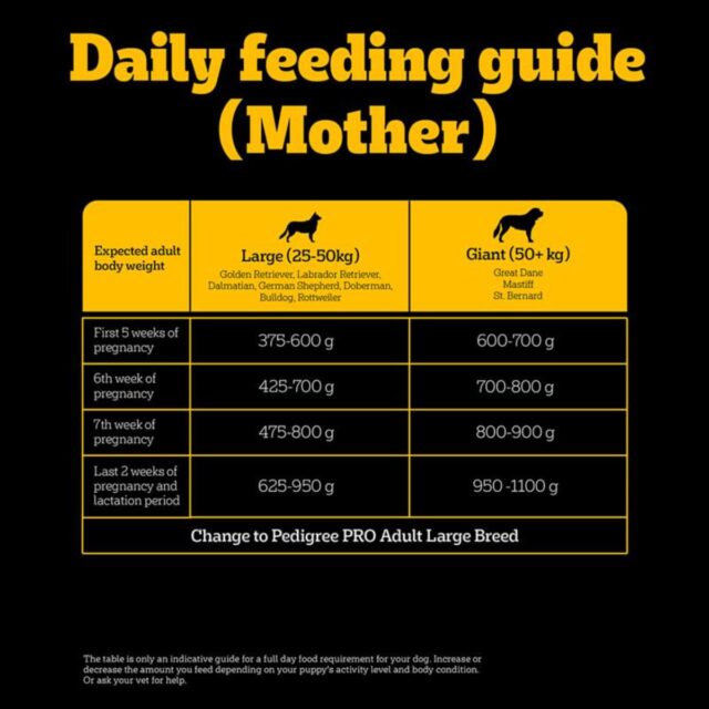 PEDIGREE Professional Starter Mother and Pup Small Breed, Dry Dog Food - Image 6