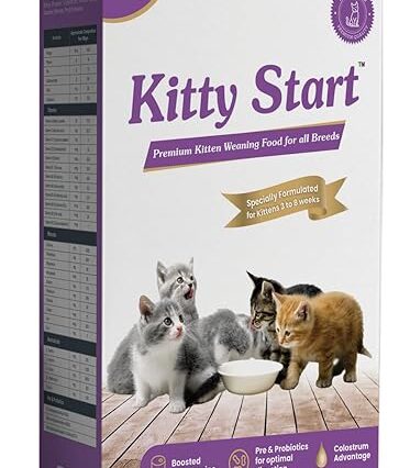 Kitty Start Premium Kitten Weaning Dry Cat Food for All Breeds, Pregnant & Lactating Cats, 300g