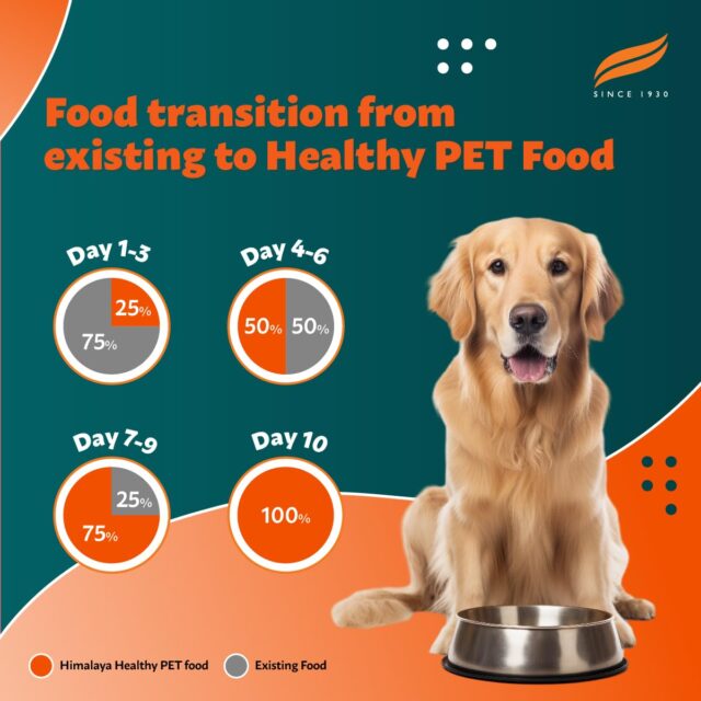 Himalaya Healthy Pet Food | Chicken & Pumpkin Flavor - Image 6
