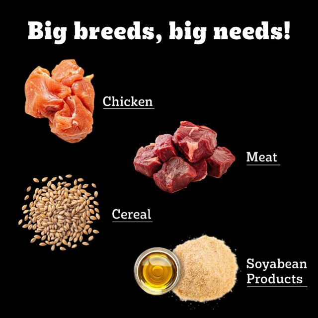 PEDIGREE Professional Adult Dog Dry Food Large Breed - Image 5
