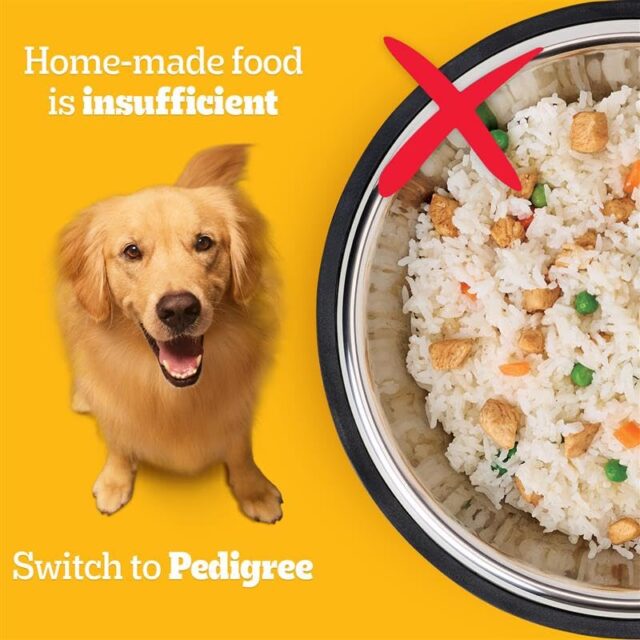 PEDIGREE Meat and Rice Flavour Dog Dry Food - Image 4