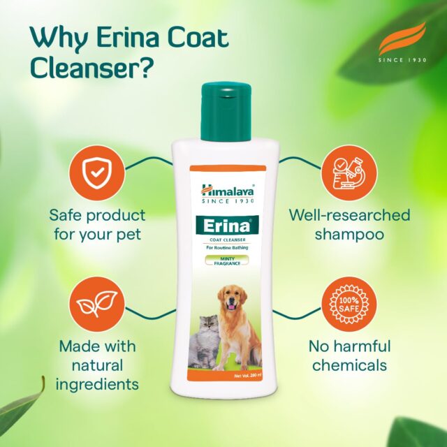 Himalaya Erina Coat Cleanser for Dogs & Cats, 200 ml - Image 7
