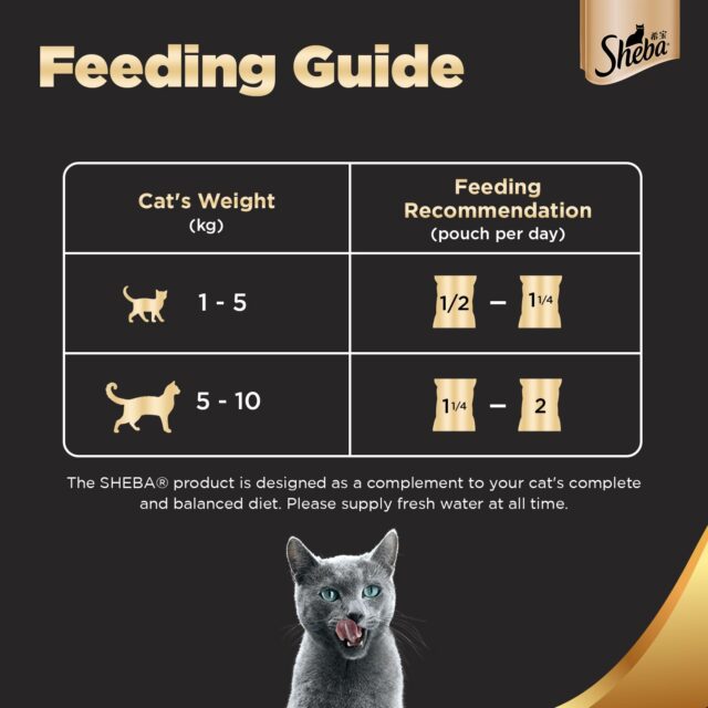 Sheba Rich Premium Adult (1+ Years) Wet Cat Food, Skipjack & Salmon Flavour, 35 g Pouch - Image 8