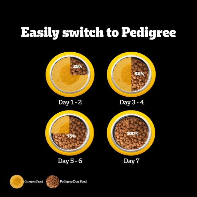 PEDIGREE Professional Small Breed Puppy Food Dry Food - Image 6