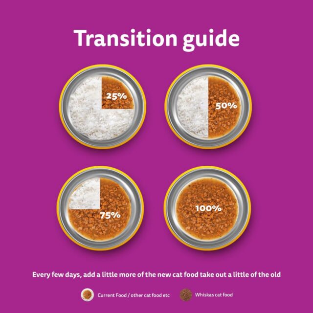 Whiskas Adult (1+ Year) Tasty Mix Wet Cat Food Made with Real Fish, Chicken with Tuna and Carrot in Gravy, 80g - Image 8