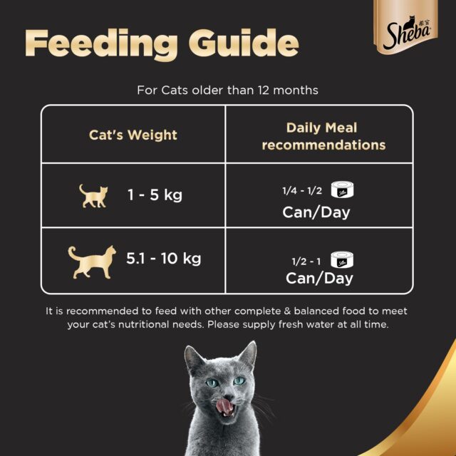 Sheba Deluxe Premium Adult (1+ Years) Wet Cat Food, Tuna & Snapper in Gravy, 85 g Can (Pack of 24) - Image 6