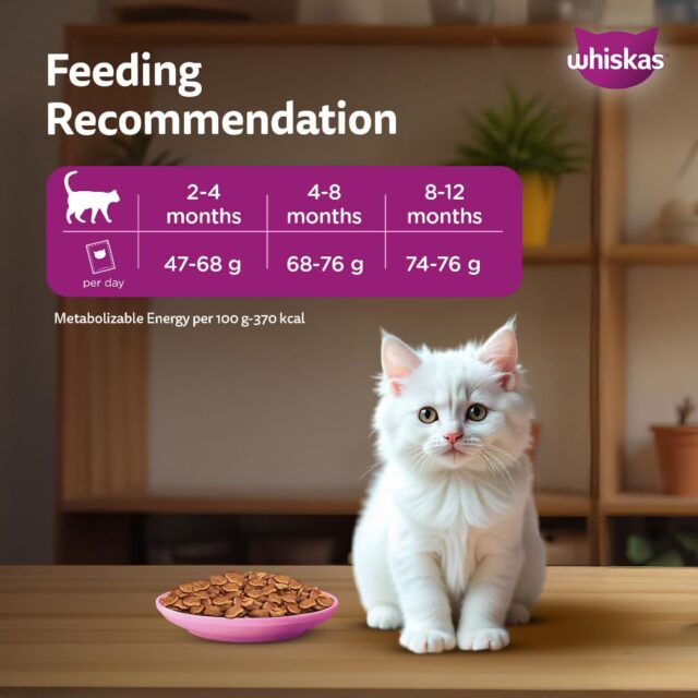 Whiskas Persian Kitten 3 in 1 Hair Solution (2-12 Months) Dry Cat Food - Image 5