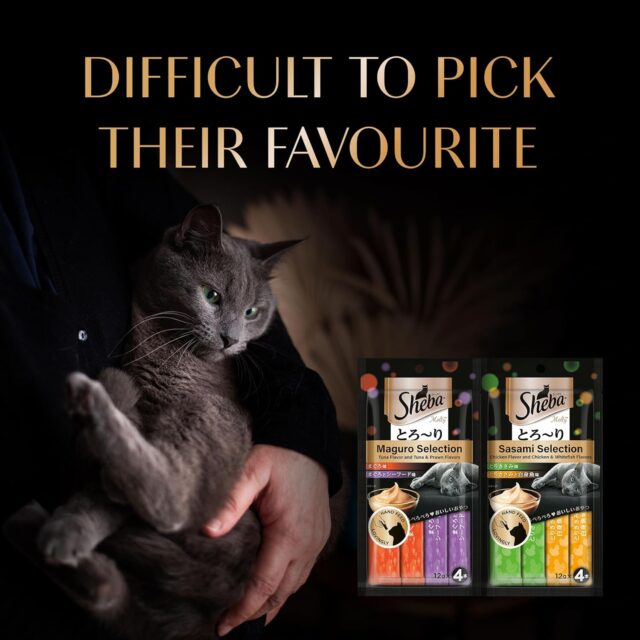 Sheba Melty Premium Lickable Creamy Cat Treats, Sasami Selection – Chicken & Chicken & Whitefish Flavors, 4 Packs x 12g, (48g) - Image 7