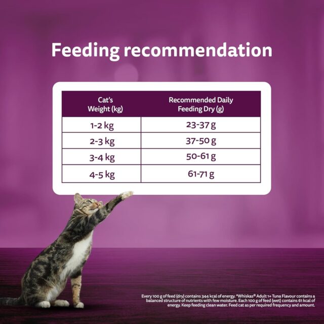 Whiskas Adult (1+ Years) Dry Cat Food, Mackerel Flavour for Adult Cats - Image 7