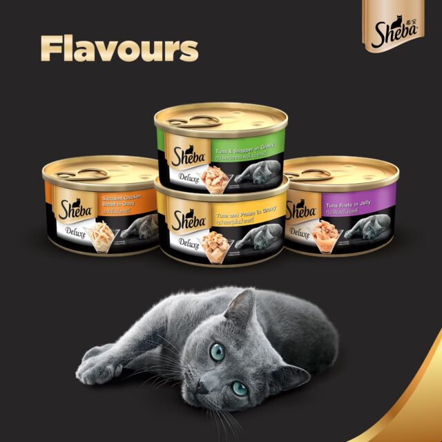 Sheba Deluxe Premium Adult (1+ Years) Wet Cat Food, Tuna & Snapper in Gravy, 85 g Can (Pack of 24) - Image 9