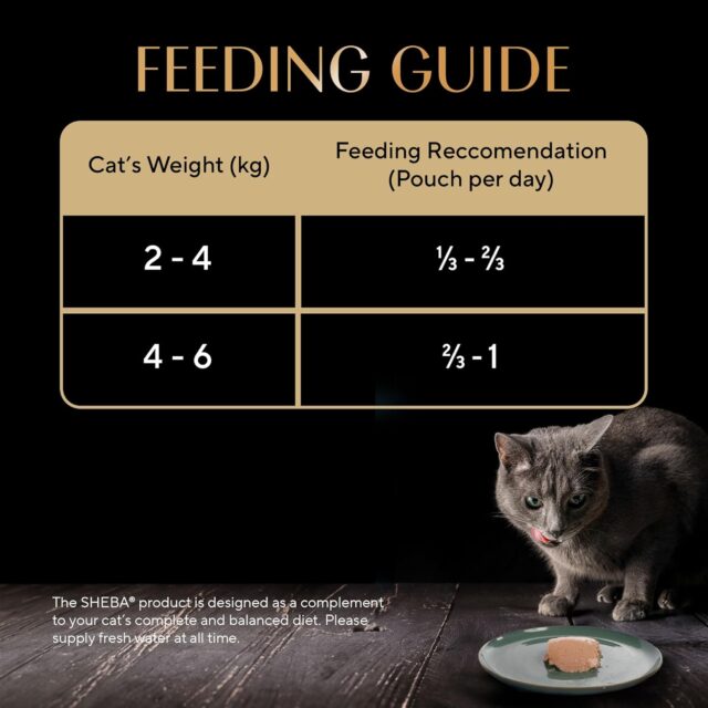 Sheba Rich Premium Adult (+1 Year) Fine Wet Cat Food, Chicken Loaf (24 x 70g) - Image 8