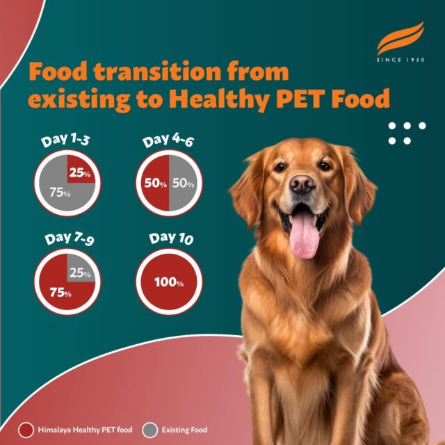 Himalaya Meat & Rice Healthy Pet Food for Adult Dogs - Image 6