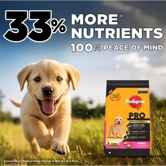 PEDIGREE Professional Large Breed Puppy Food, Dry Dog Food (3-18 Months) - Image 4