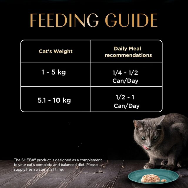 Sheba Deluxe Premium Adult (1+ Years) Wet Cat Food, Tuna and Prawns in Gravy, 85 g Can (Pack of 24) - Image 4