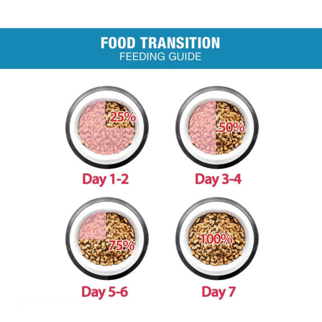Me-O Ocean Fish Kitten Cat Dry Food - Image 4