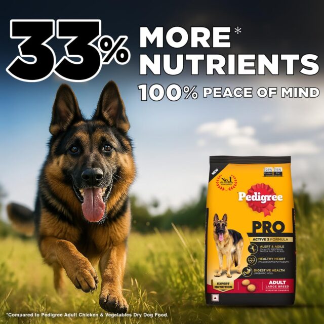 PEDIGREE Professional Adult Dog Dry Food Large Breed - Image 4
