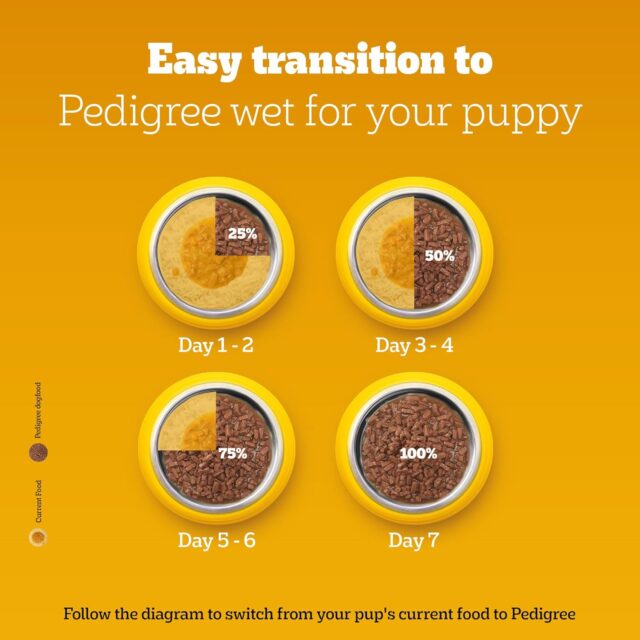 PEDIGREE Puppy Chicken and Milk for New Born Dog Dry Food - Image 7