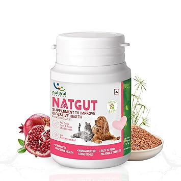 Natural Remedies Natgut Digestive 24 Tablet