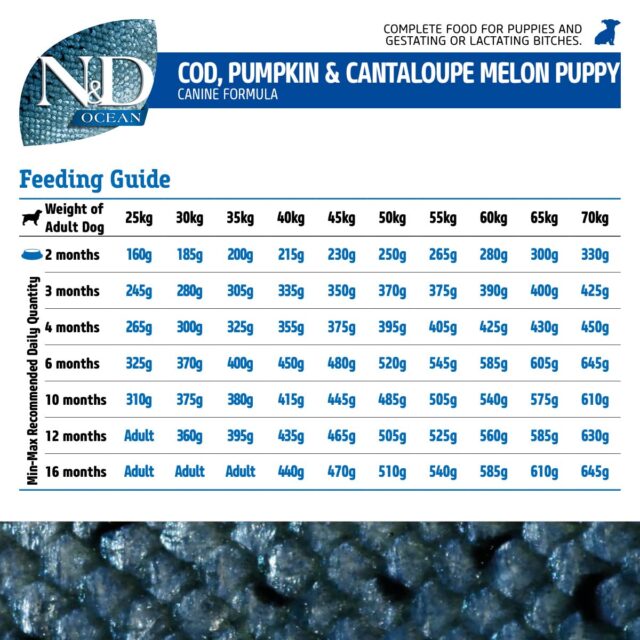 N&D Ocean COD, Pumpkin & Cantalope Melon Puppy Mini Dry Dog Food - Image 2