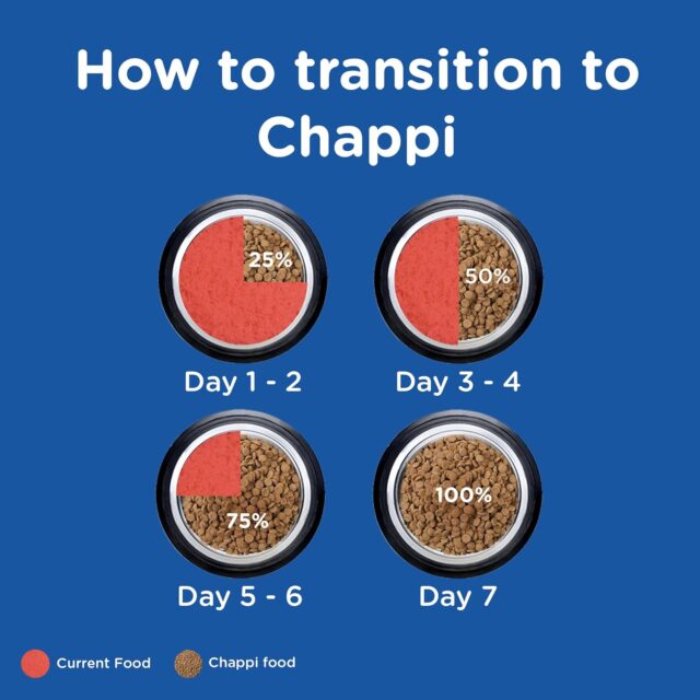 Chappi Puppy Dry Dog Food, Chicken & Milk Flavor - Image 6