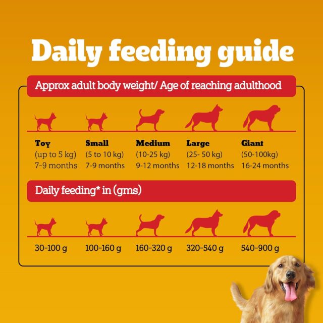PEDIGREE Chicken and Vegetables for Adult Dogs Dry Food, 1kg - Image 7