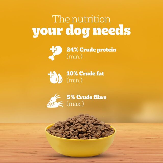 PEDIGREE Puppy Chicken and Milk for New Born Dog Dry Food - Image 5