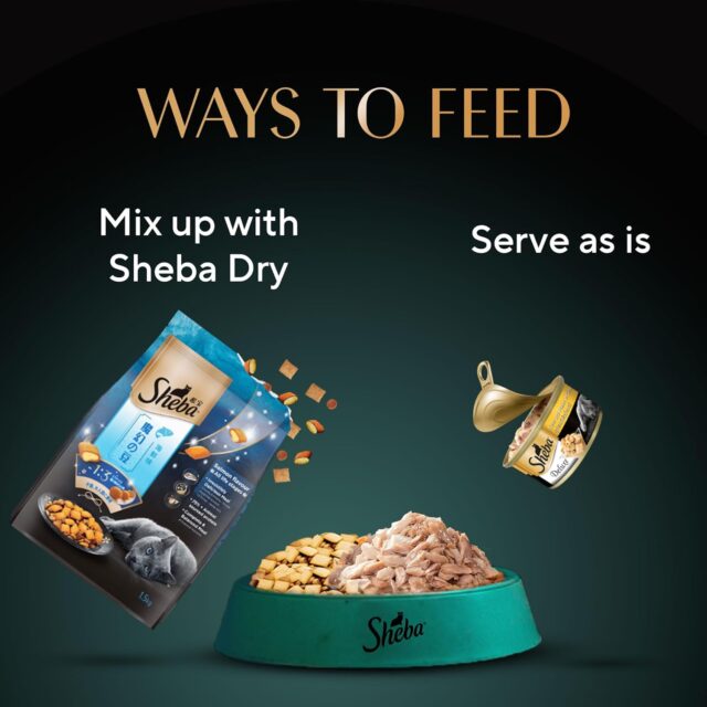 Sheba Deluxe Premium Adult (1+ Years) Wet Cat Food, Tuna and Prawns in Gravy, 85 g Can (Pack of 24) - Image 5