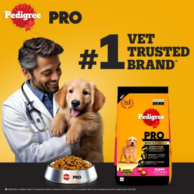 PEDIGREE Professional Large Breed Puppy Food, Dry Dog Food (3-18 Months) - Image 3