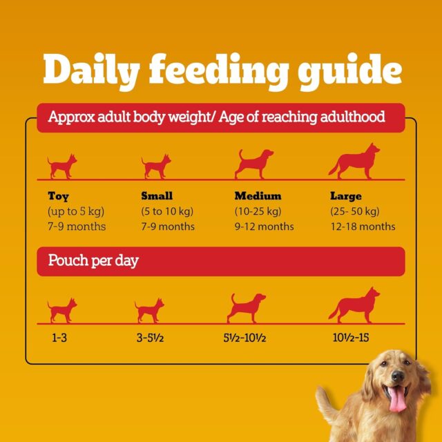 PEDIGREE Chicken Chunks Gravy Dog Wet Food Pouch 130 gm - Image 7