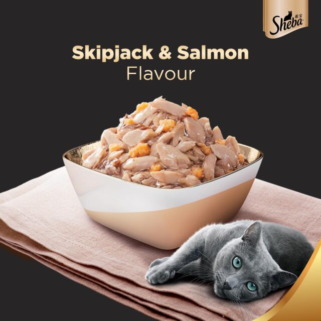 Sheba Rich Premium Adult (1+ Years) Wet Cat Food, Skipjack & Salmon Flavour, 35 g Pouch - Image 9