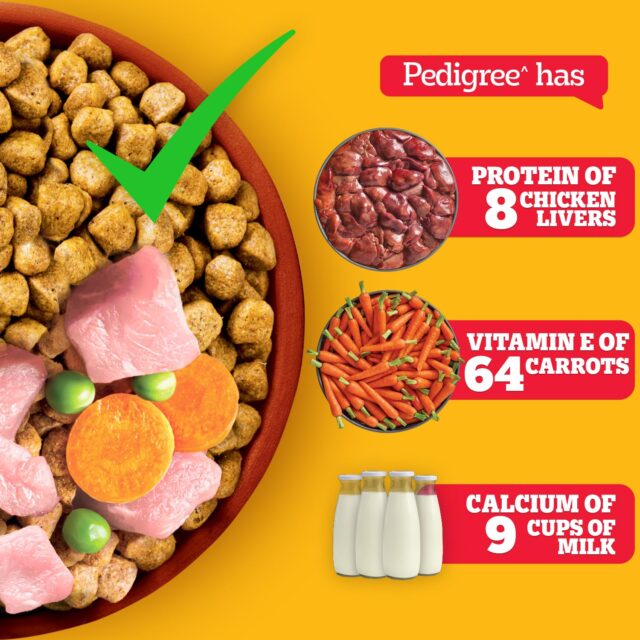 PEDIGREE Meat and Rice Flavour Dog Dry Food - Image 5
