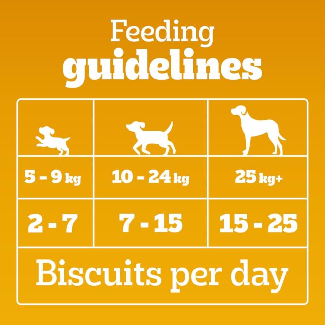 PEDIGREE BISCROK Biscuits in Chicken Flavour, Dog Treat - Image 7