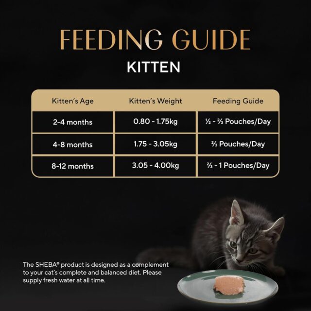 Sheba Rich Premium Kitten (2-12 Months) Fine Wet Cat Food, Chicken Loaf (70g x 24) - Image 8
