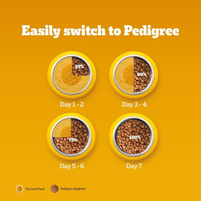 PEDIGREE Chicken and Vegetables for Adult Dogs Dry Food, 1kg - Image 8