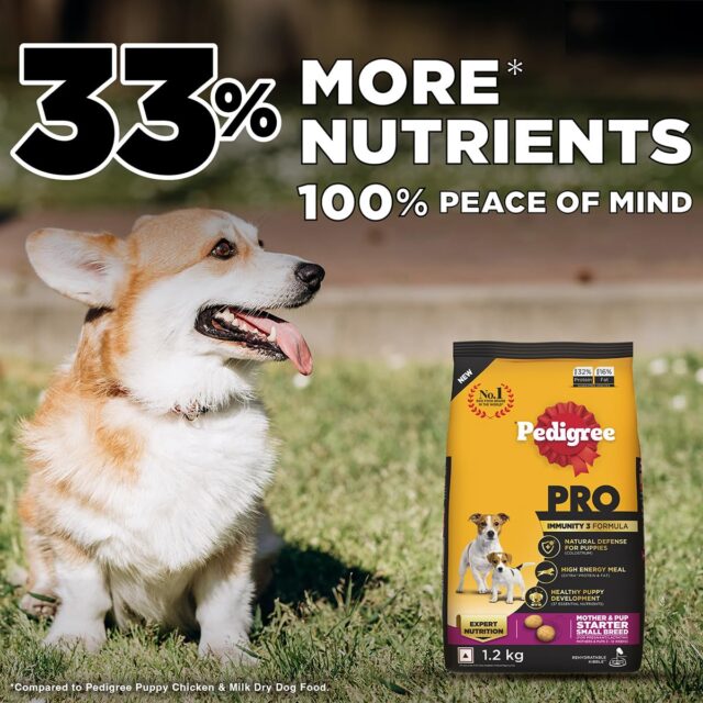 PEDIGREE Professional Starter Mother and Pup Small Breed, Dry Dog Food - Image 4