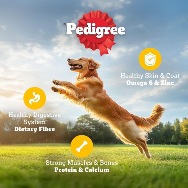 PEDIGREE Balanced and Vegetarian Dog Dry Food for Adult and Puppy - Image 4